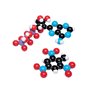 Set de biochimie, Molymod®