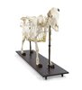 Scheletul de cow -uri bovine (Bos Taur), cu coarne, articulat