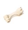 Humerus mamifer