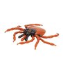 Castor Bean Tick (Ixodes Ricinus), model