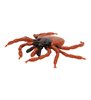 Castor Bean Tick (Ixodes Ricinus), model