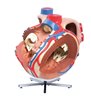 Model de inimă umană uriaș, de 8 ori - dimensiune naturala 
