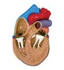 Set de model de inimă de 3 mini