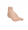 Modelul Hollow Foot (PES Cavus) 