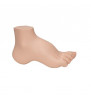 Modelul Hollow Foot (PES Cavus) 