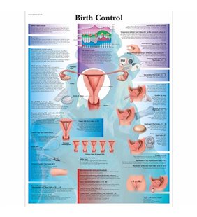 Graficul de control al nașterii