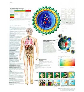 Diagrama SIDA