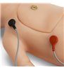 Manechin de resuscitare neonatală C.H.A.R.R.L.I.E. fără simulator EKG interactiv