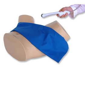 Modelul de antrenament cu ultrasunete transvaginale cu ultrasunete cu sarcină ectopică albastră