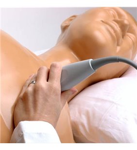 Model de antrenament cu ultrasunete pentru ecocardiografie transtoracica si pericardiocenteza Blue Phantom