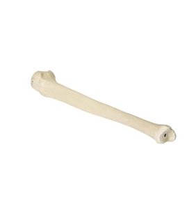 Tibia stanga ORTHObones Premium