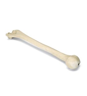 Humerus stang ORTHObones Premium