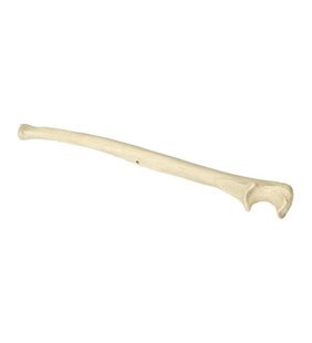 Ortobone premium stânga ulna