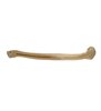 Humerus dreapta ORTHObones Standard 