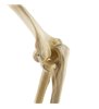 Cot cu benzi elastice ORTHObones Standard