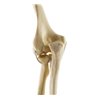 Cot cu benzi elastice ORTHObones Standard