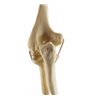 Cot cu benzi elastice ORTHObones Standard