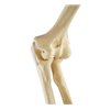 Cot cu benzi elastice ORTHObones Standard