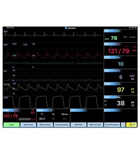 CARESCAPE B40 - Simulare monitor al pacientului pentru REALITi 360