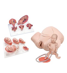 Introducere in laboratorul de obstetrica set de baza