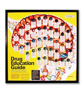 Ghid pentru educația drogurilor