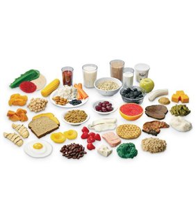 Kit de replică alimentară MyPlate