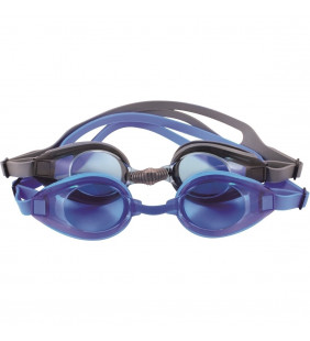 Nausica goggles