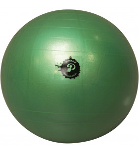 Poull Ball Giant Ball